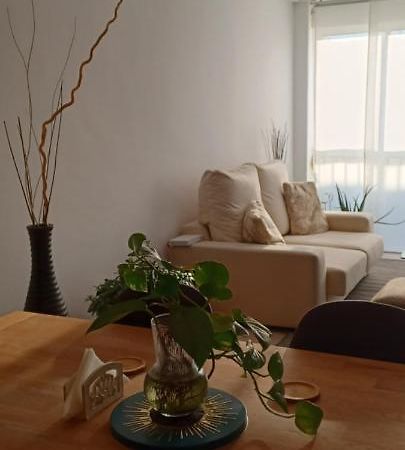 Apartamento Entero De Tres Habitaciones, Cerca De La Playa! Acogedor, Luminoso Y Tranquilo Malgrat de Mar Exterior foto